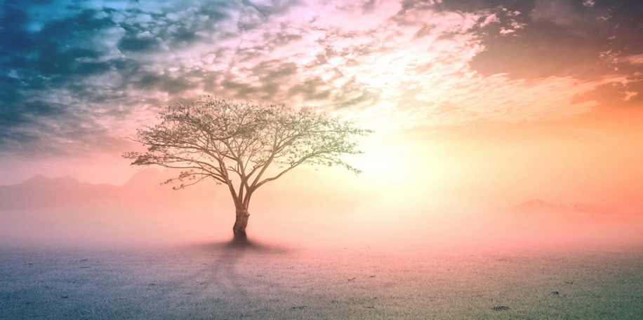 Spiritual Leadership & Ethical Management